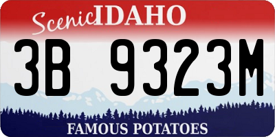 ID license plate 3B9323M