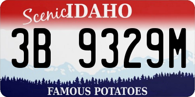 ID license plate 3B9329M