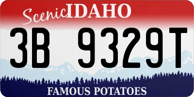 ID license plate 3B9329T