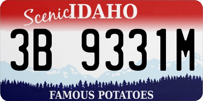 ID license plate 3B9331M