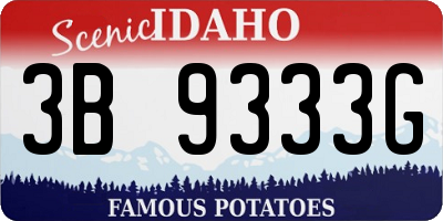 ID license plate 3B9333G