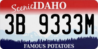 ID license plate 3B9333M