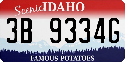 ID license plate 3B9334G