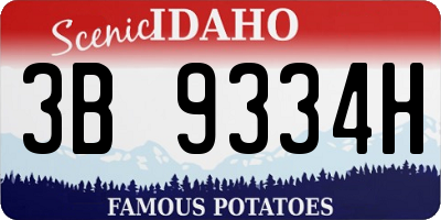 ID license plate 3B9334H
