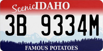 ID license plate 3B9334M