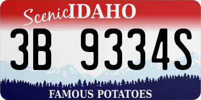 ID license plate 3B9334S