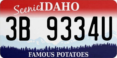 ID license plate 3B9334U