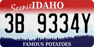 ID license plate 3B9334Y