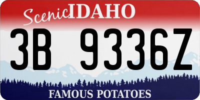 ID license plate 3B9336Z