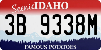 ID license plate 3B9338M