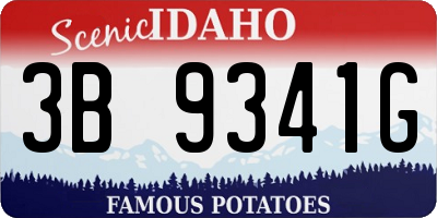 ID license plate 3B9341G