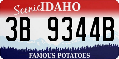 ID license plate 3B9344B