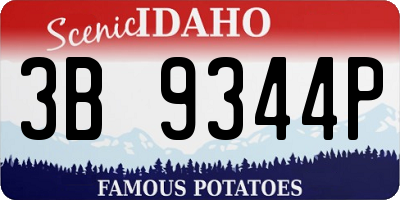 ID license plate 3B9344P