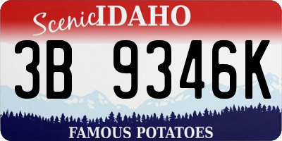 ID license plate 3B9346K