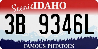 ID license plate 3B9346L