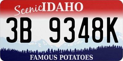 ID license plate 3B9348K