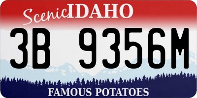 ID license plate 3B9356M