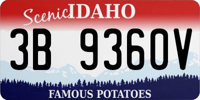 ID license plate 3B9360V