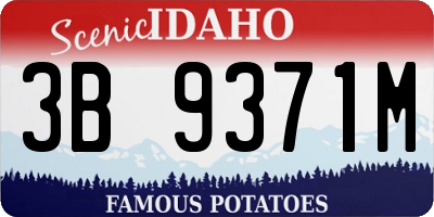 ID license plate 3B9371M
