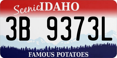 ID license plate 3B9373L