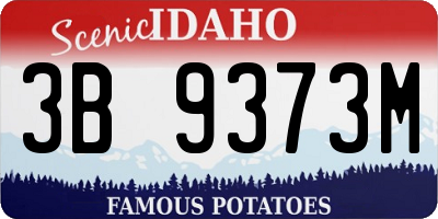 ID license plate 3B9373M