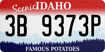ID license plate 3B9373P