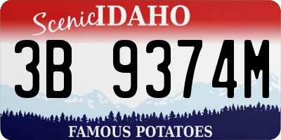 ID license plate 3B9374M