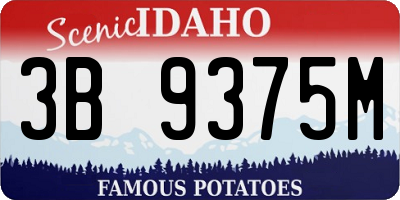 ID license plate 3B9375M