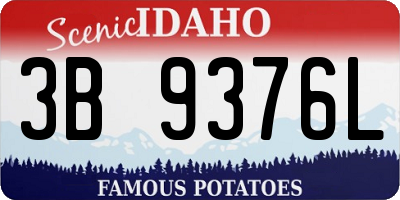 ID license plate 3B9376L