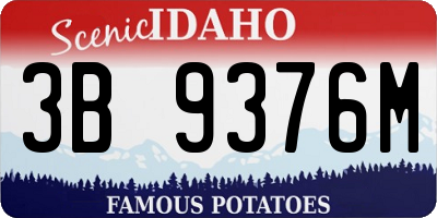 ID license plate 3B9376M