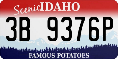 ID license plate 3B9376P