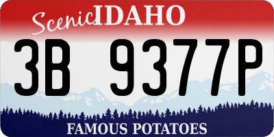 ID license plate 3B9377P