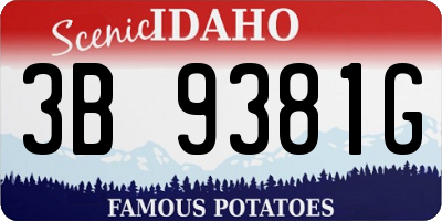 ID license plate 3B9381G