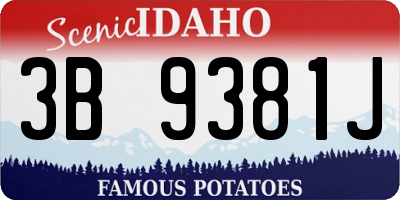 ID license plate 3B9381J