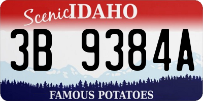 ID license plate 3B9384A