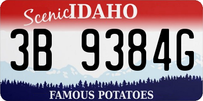 ID license plate 3B9384G