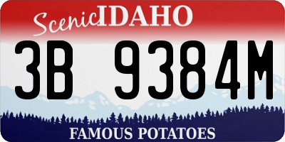ID license plate 3B9384M