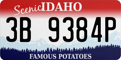 ID license plate 3B9384P