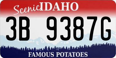 ID license plate 3B9387G
