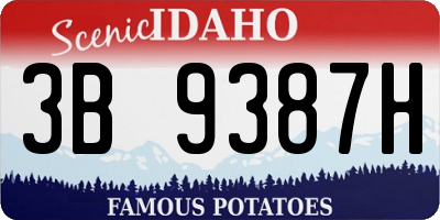 ID license plate 3B9387H