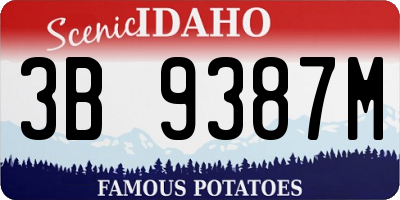 ID license plate 3B9387M