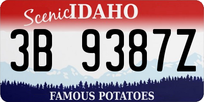 ID license plate 3B9387Z