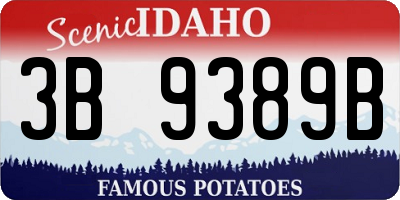 ID license plate 3B9389B