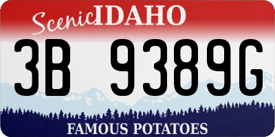 ID license plate 3B9389G
