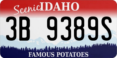 ID license plate 3B9389S