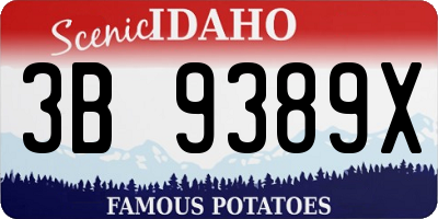 ID license plate 3B9389X