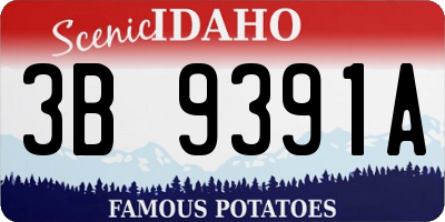 ID license plate 3B9391A