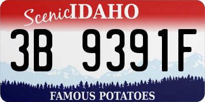 ID license plate 3B9391F