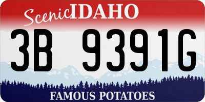 ID license plate 3B9391G