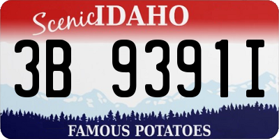 ID license plate 3B9391I
